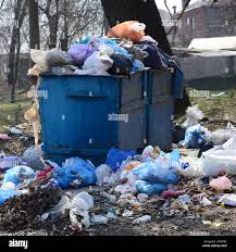 Best Residential Junk Removal  in Elephant Butte, NM