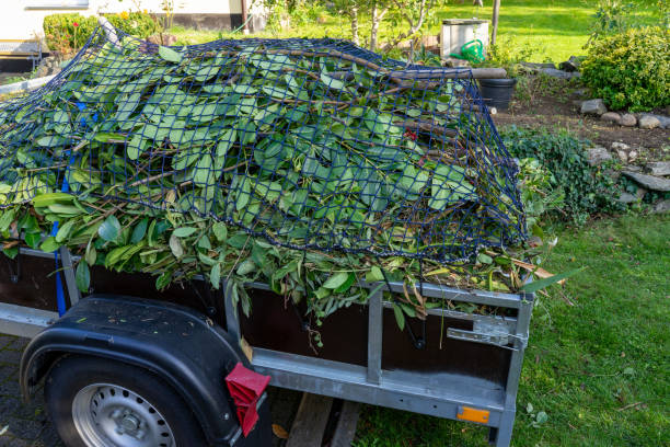 Best Same-Day Junk Removal Services  in Elephant Butte, NM
